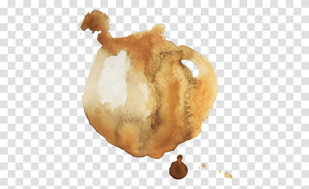 Coffee Splatter Stains Watercolor Paint, Fungus, Animal, Bird, Food Transparent Png