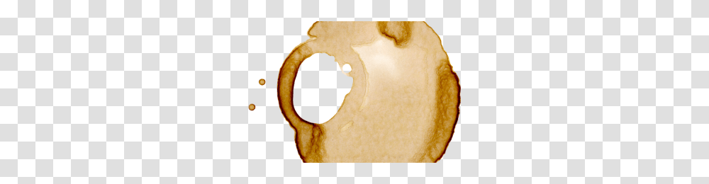 Coffee Stain Image, Plant, Bread, Food, Hole Transparent Png