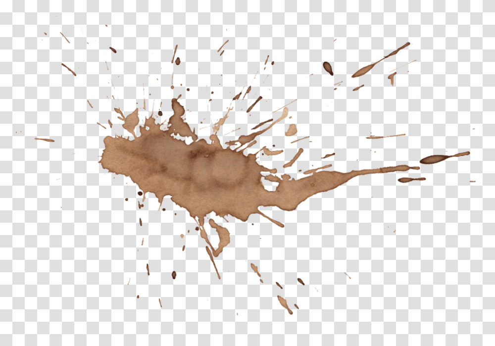 Coffee Stain, Outdoors, Nature, Silhouette Transparent Png