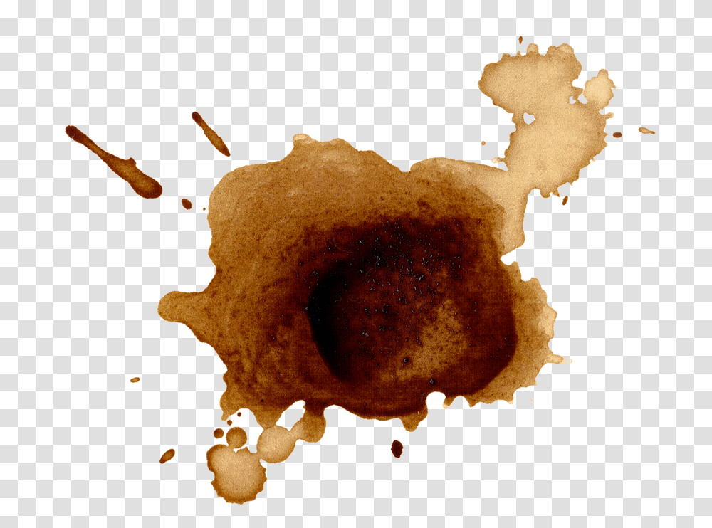 Coffee Stains, Fungus Transparent Png
