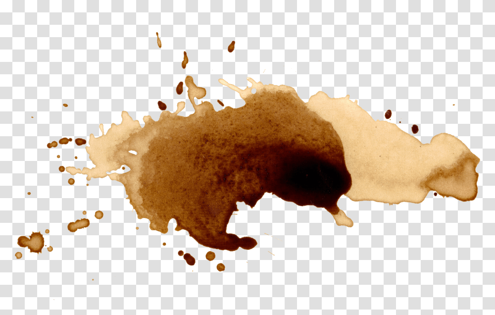 Coffee Stains Splatter Watercolor Coffee Stain, Fungus, Bonfire, Flame, Food Transparent Png