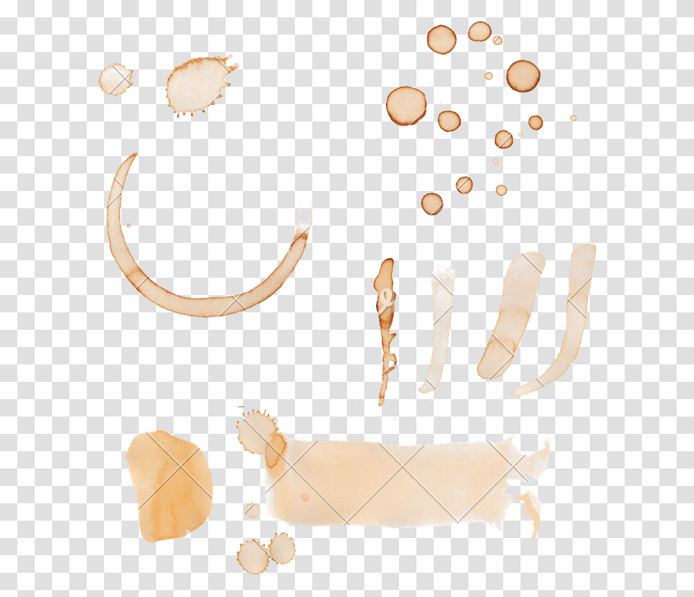 Coffee Stains, Bow, Alphabet, Handwriting Transparent Png