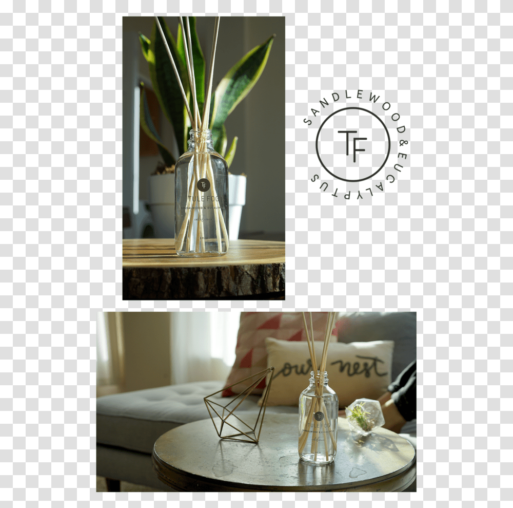 Coffee Table, Plant, Tabletop, Furniture, Collage Transparent Png