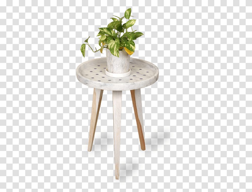 Coffee Table, Vase, Jar, Pottery, Potted Plant Transparent Png