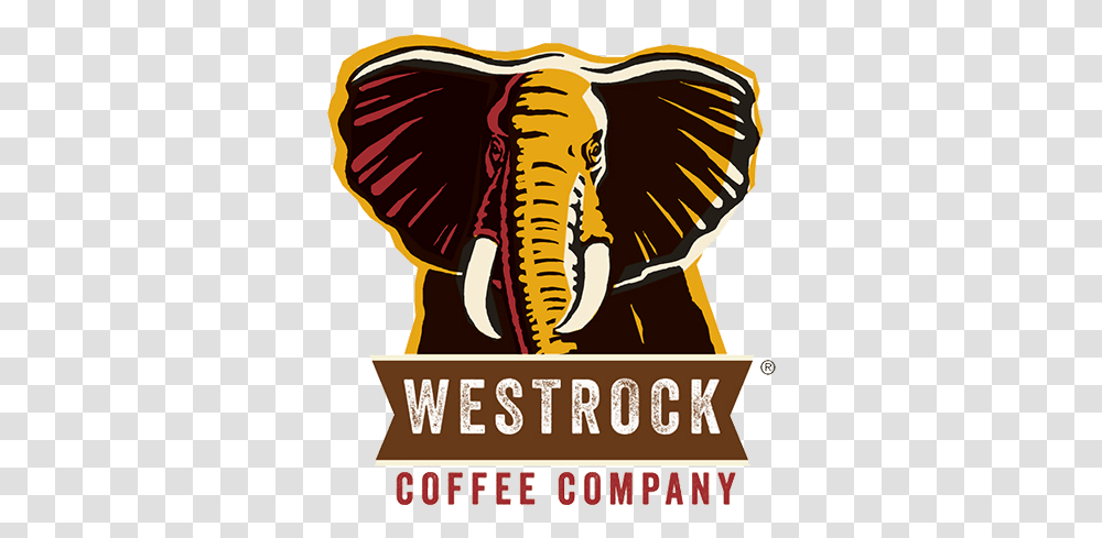 Coffee Tea From Cott Corporation Westrock Coffee, Animal, Poster, Advertisement, Mammal Transparent Png