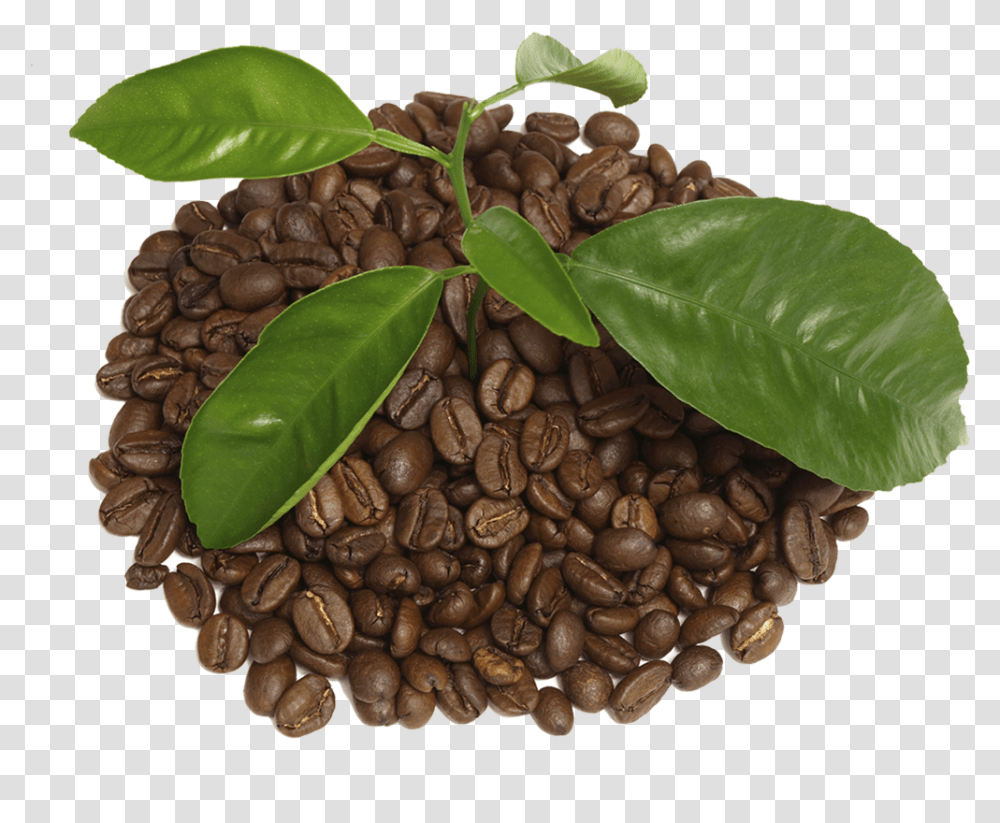 Coffee With Leaf Houseplant, Food, Vegetable, Produce, Grain Transparent Png