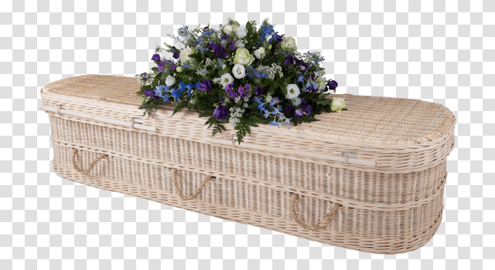 Coffin Pic, Plant, Flower, Blossom, Rug Transparent Png