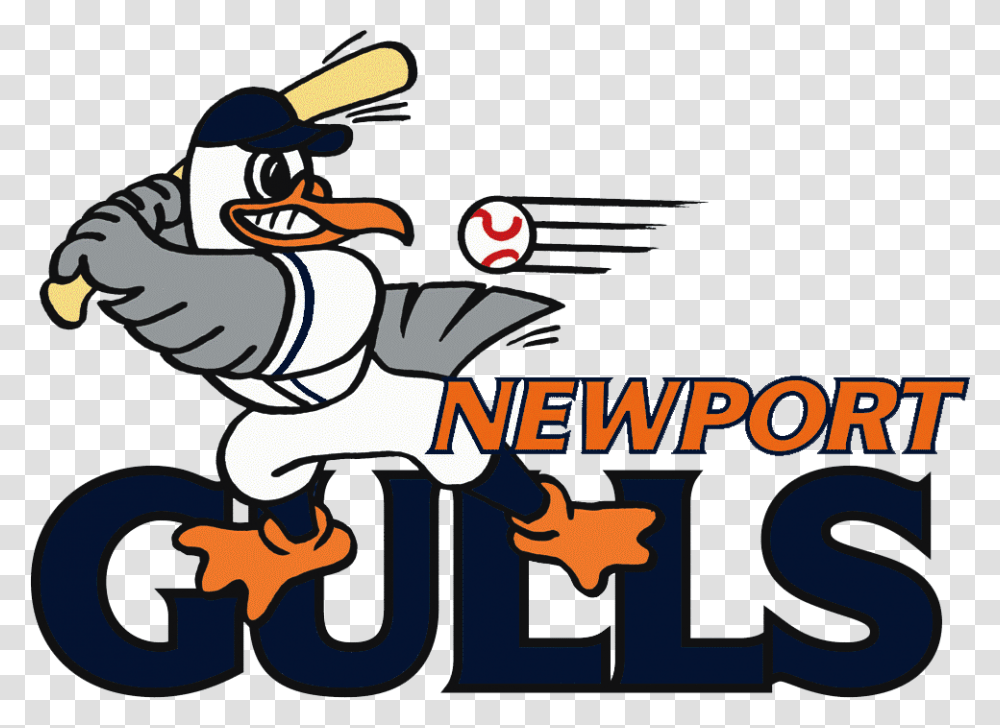 Coffman And Rosen Spark Gulls Offensive Explosion Newport Gulls, Alphabet, Bird, Animal Transparent Png