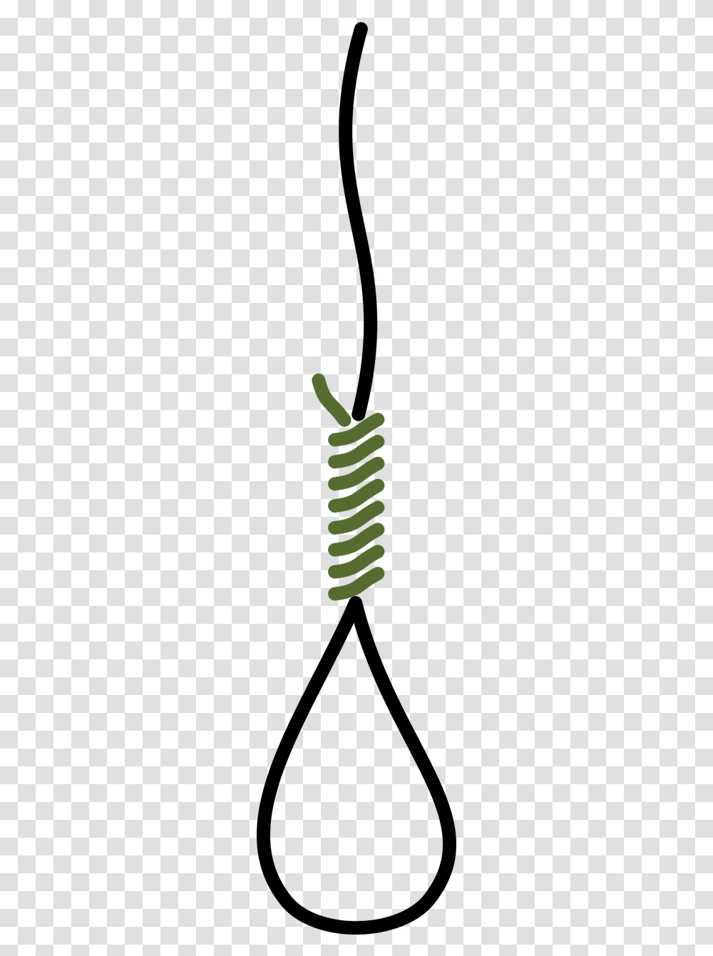 Coil Spring Hangknot, Spiral, Plant Transparent Png