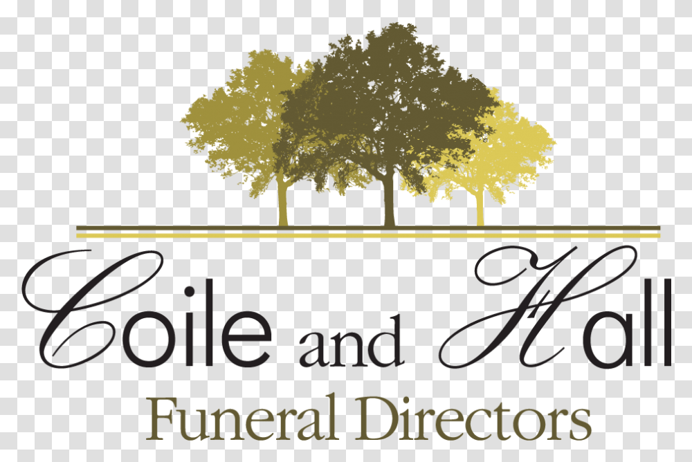 Coile And Hall Funeral Directors, Tree, Plant, Alphabet Transparent Png