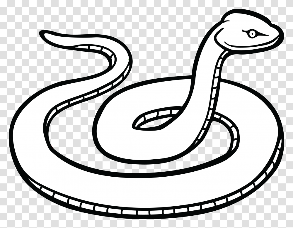 Coiled Snake Hd Coiled Snake Hd Images, Sink Faucet, Animal, Reptile, Cobra Transparent Png