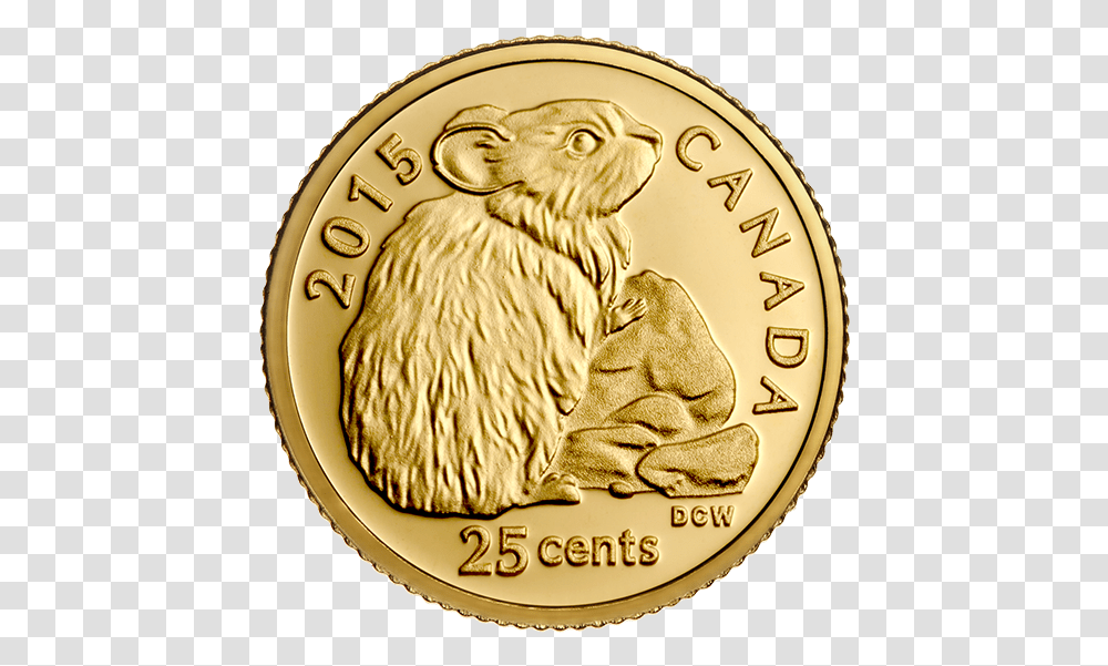 Coin, Gold, Money, Tiger, Wildlife Transparent Png