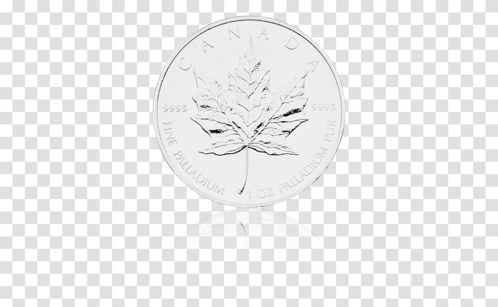 Coin, Leaf, Plant, Money Transparent Png