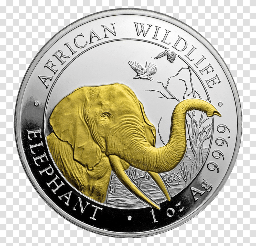 Coin, Money, Elephant, Wildlife, Mammal Transparent Png