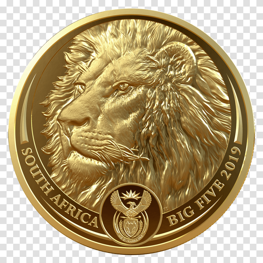 Coin, Money, Gold, Rug Transparent Png