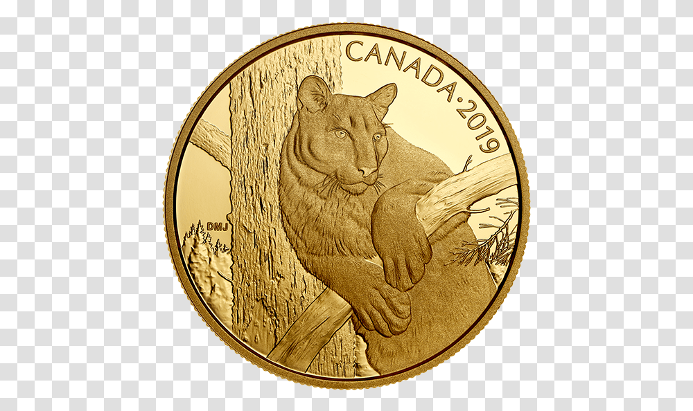 Coin, Money, Gold Transparent Png