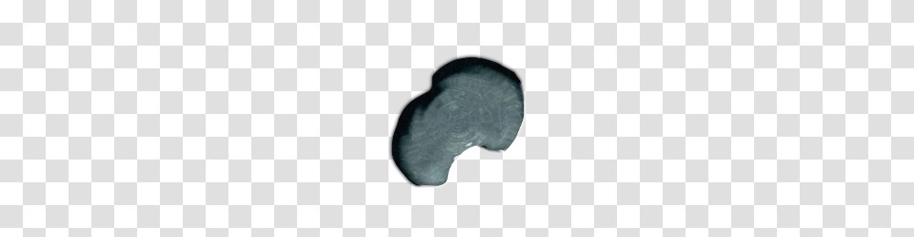Coin, Money, X-Ray, Ct Scan Transparent Png