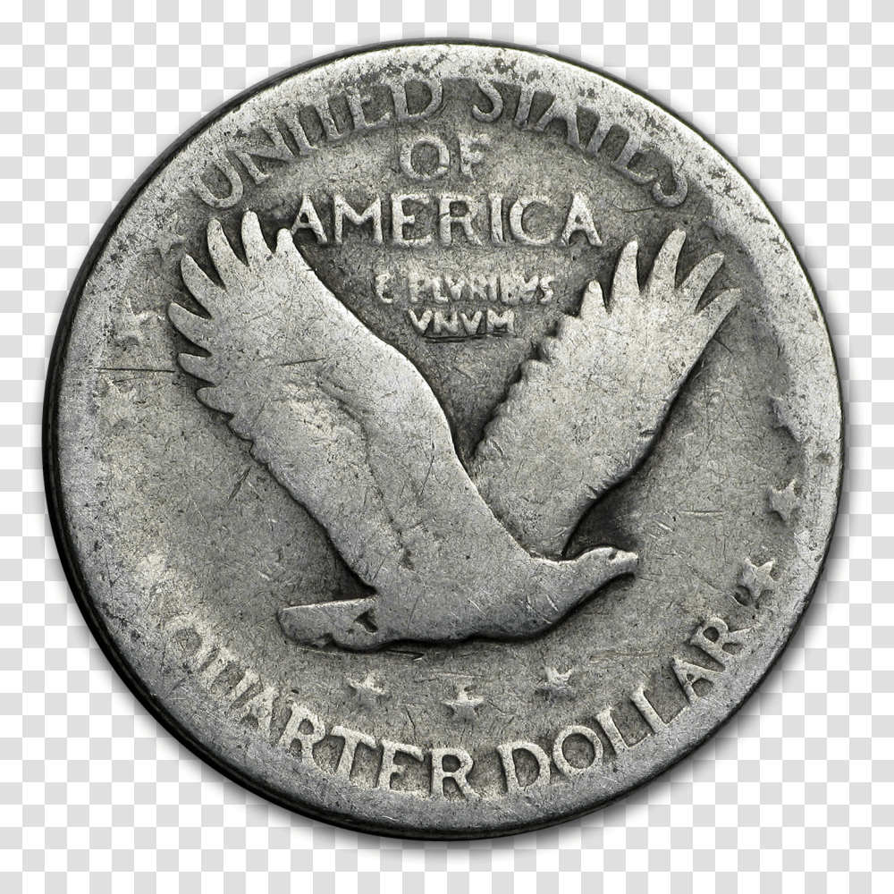 Coin, Nickel, Money, Dime, Fungus Transparent Png