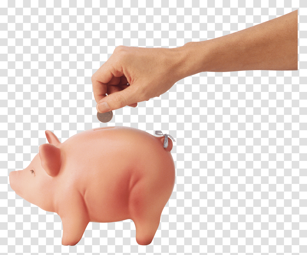 Coin, Person, Human, Piggy Bank Transparent Png