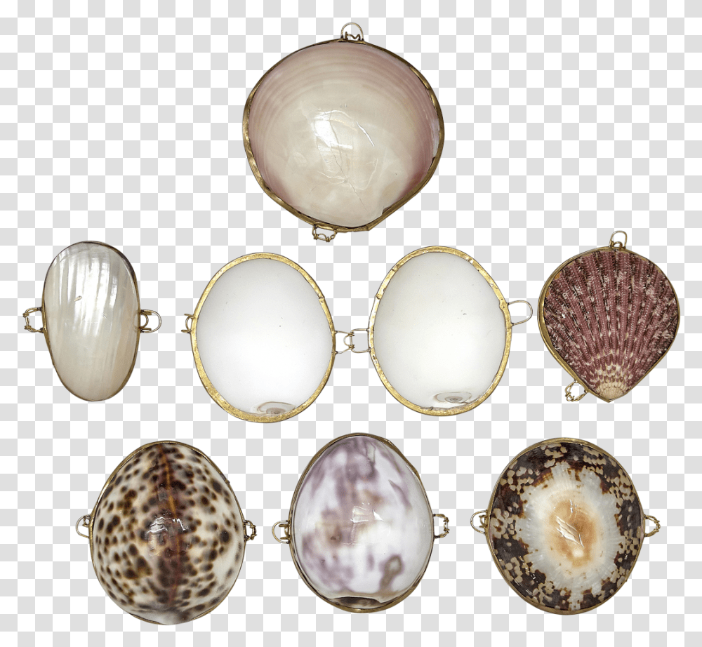 Coin Purses Seashell Assorted Gemstone, Accessories, Accessory, Food, Sea Life Transparent Png