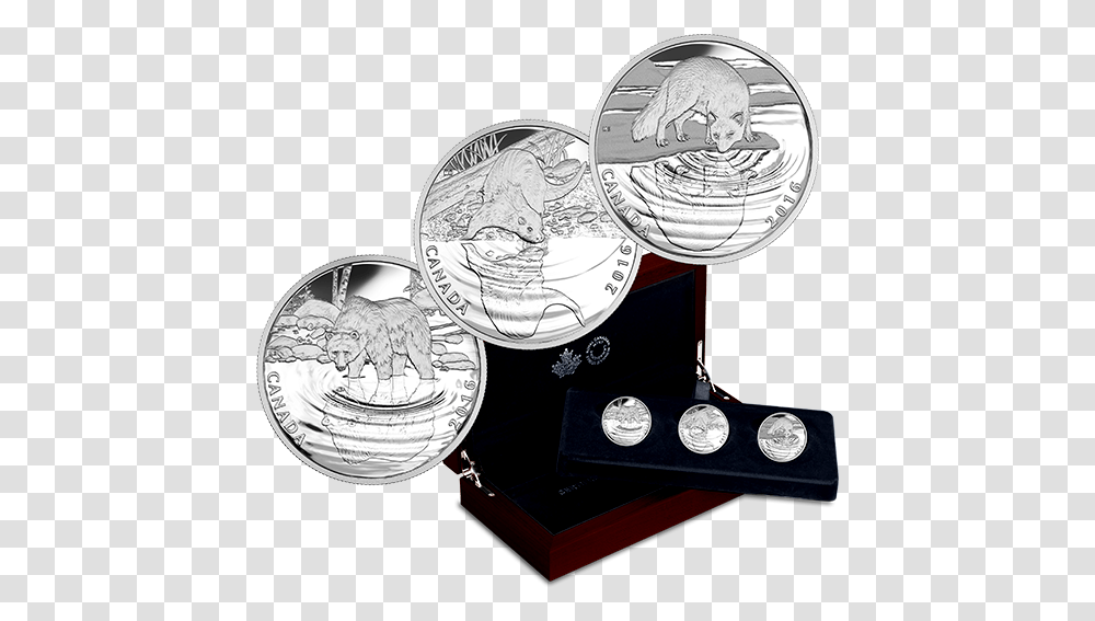 Coin, Silver, Money Transparent Png