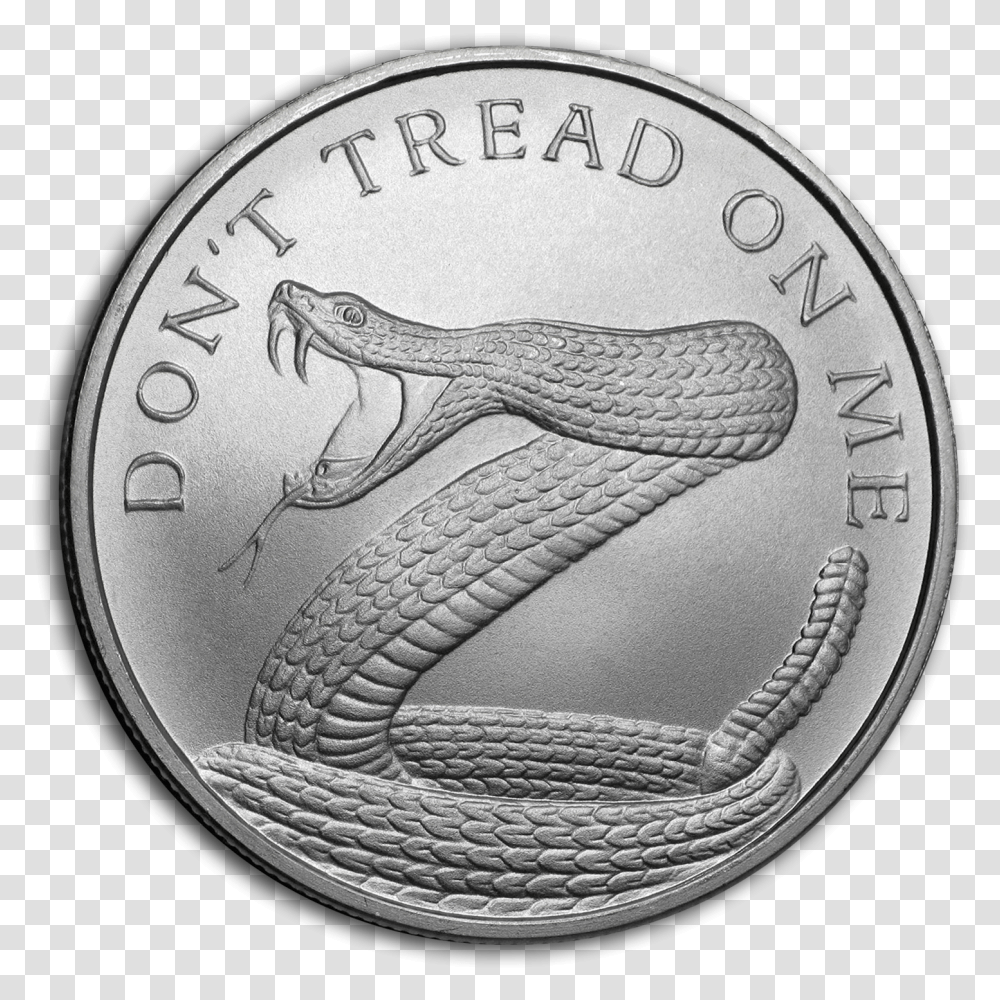 Coin, Snake, Reptile, Animal, Money Transparent Png
