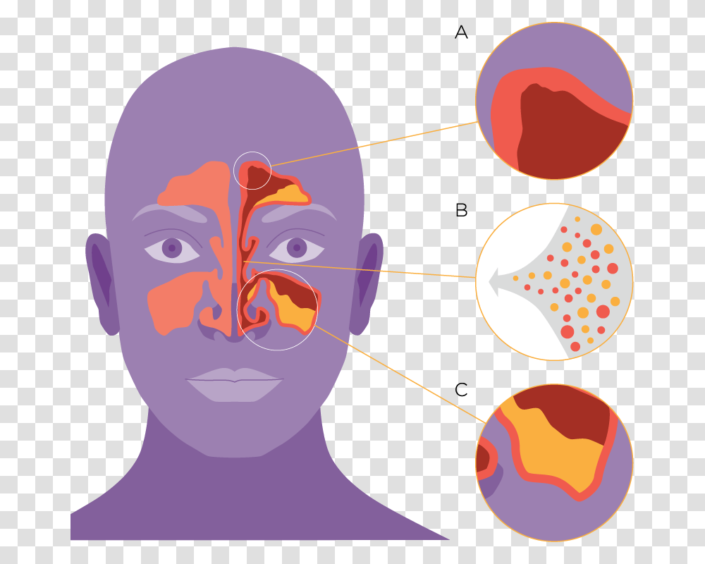 Cold Breath, Head, Face, Throat, Astronomy Transparent Png