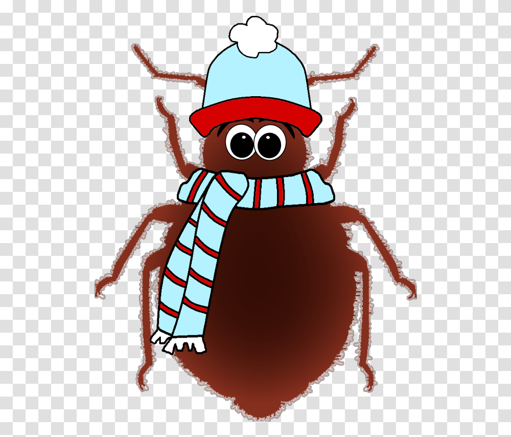 Cold Bug, Invertebrate, Animal, Insect, Cockroach Transparent Png