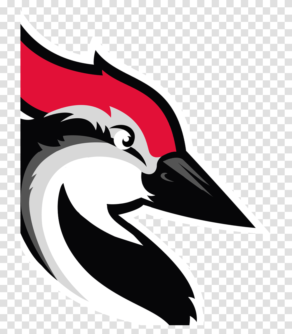 Cold Emails & Follow Ups Woodpeckerco Woody Woodpecker Bird Logo, Beak, Animal, Graphics, Art Transparent Png
