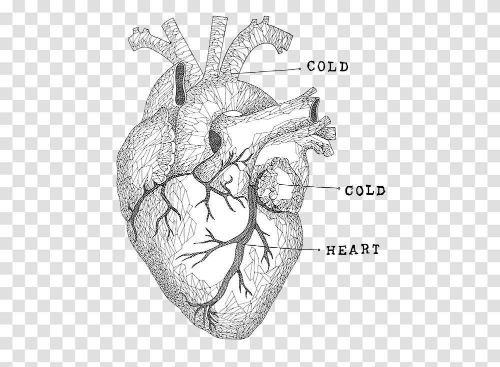 Cold Heart Facebook Your Cold Cold Heart, Drawing, Sketch, Bird, Animal Transparent Png