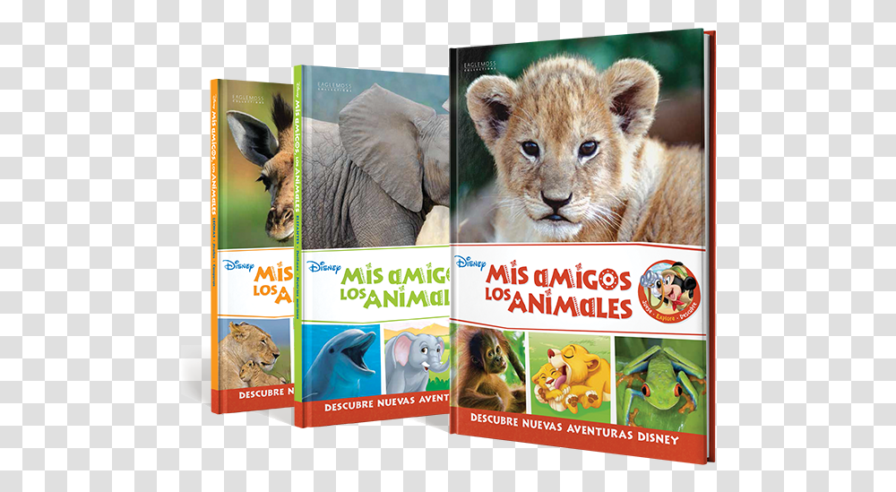 Coleccion Mis Amigos Los Animales, Wildlife, Mammal, Bear, Elephant Transparent Png
