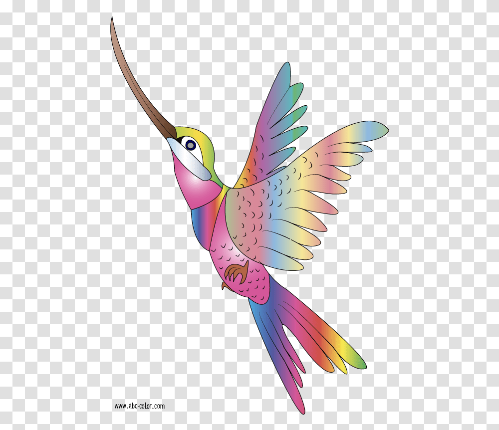 Colibri Clipart, Bird, Animal, Flying Transparent Png