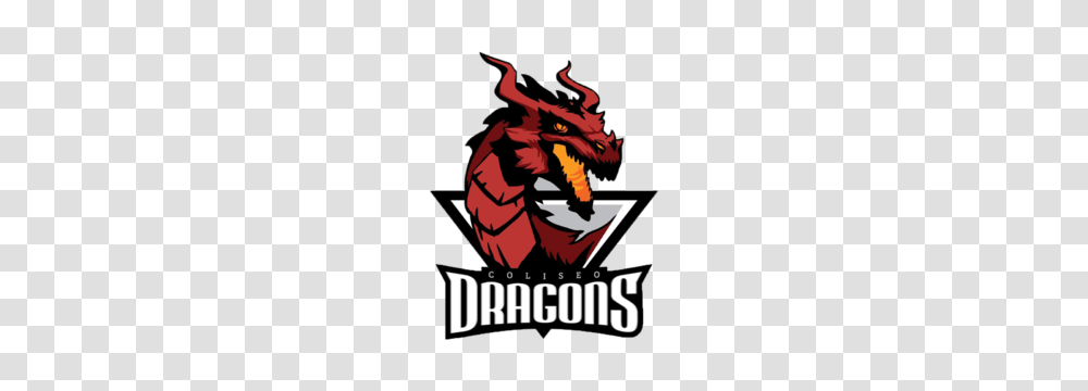 Coliseo Dragons, Poster, Wasp, Animal, Logo Transparent Png