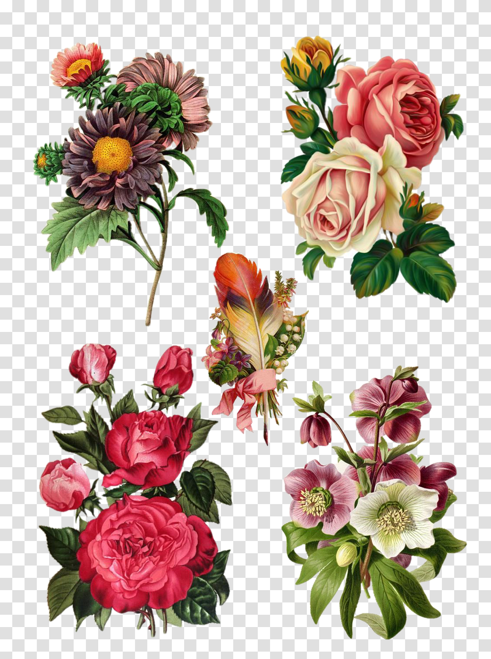 Collage Vintage Flower Free Image On Pixabay Love Quotes Michael Faudet, Graphics, Art, Floral Design, Pattern Transparent Png