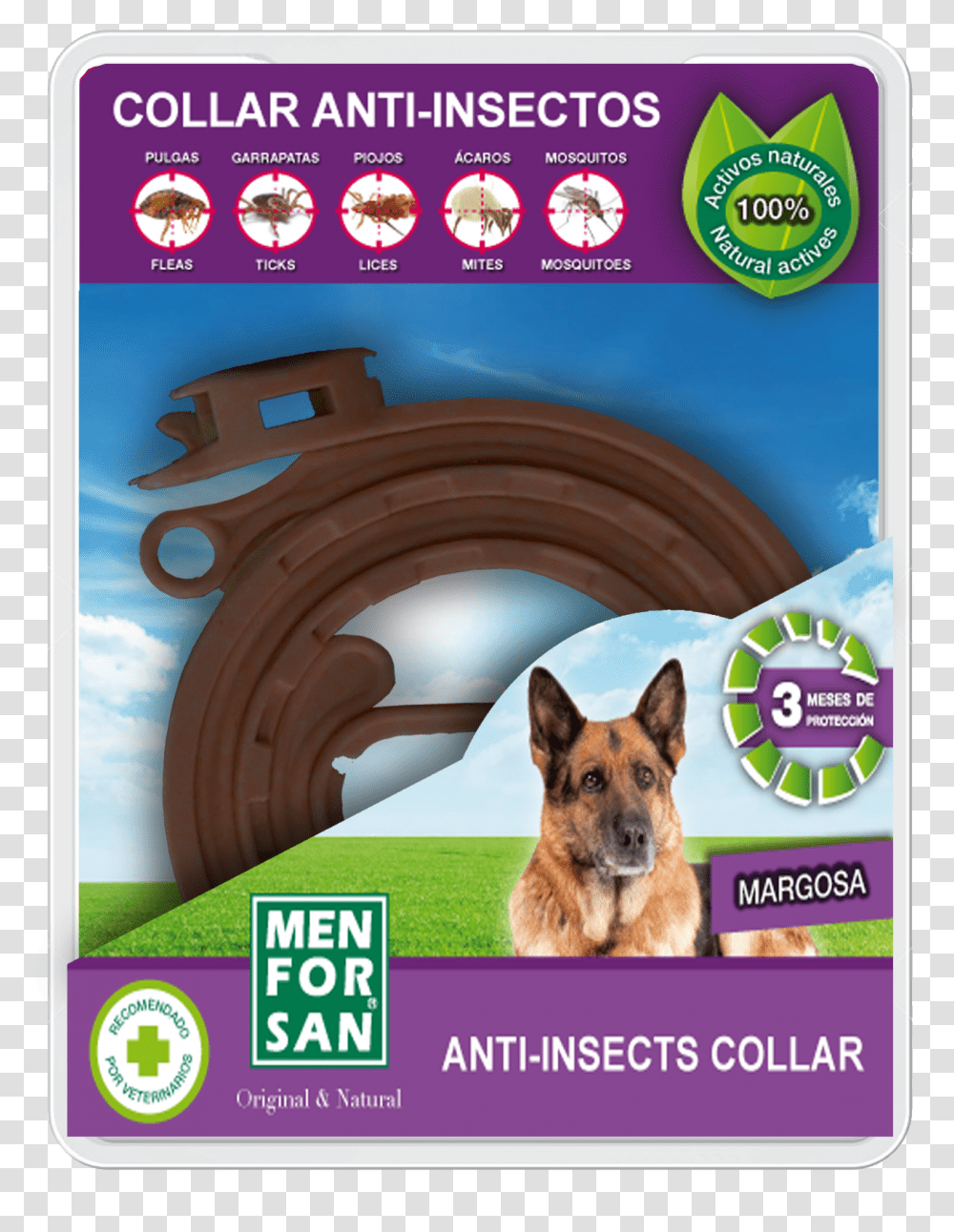 Collar Anti Insectos Menforsan, Dog, Pet, Canine, Animal Transparent Png