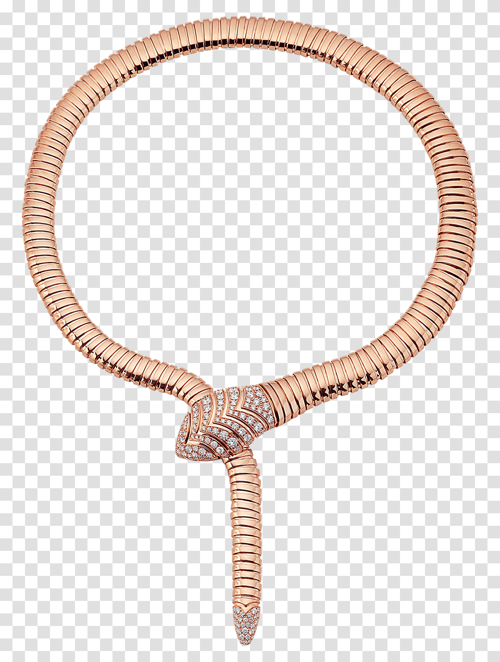 Collar Serpenti Bulgari Precio, Knot, Snake, Reptile, Animal Transparent Png