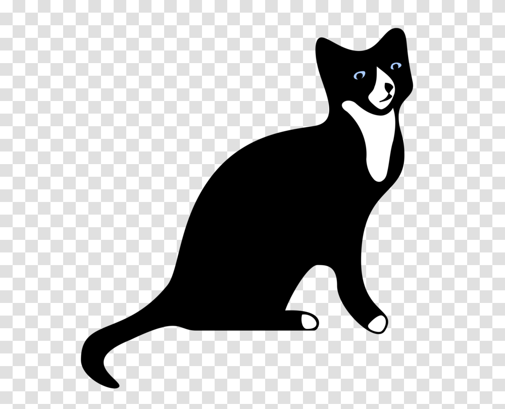 Collar Snowshoe Cat Kitten Black Cat Mouse, Bird, Animal, Face, Stencil Transparent Png