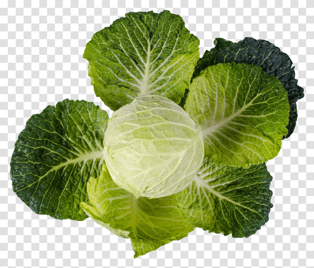 Collard Green, Plant, Cabbage, Vegetable, Food Transparent Png