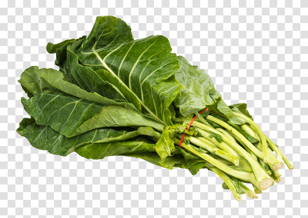 Collard Greens Bundle Image, Vegetable, Plant, Food, Kale Transparent Png