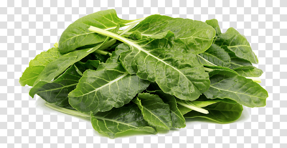 Collard Greens Green Leafy Vegetables, Spinach, Plant, Food, Produce Transparent Png