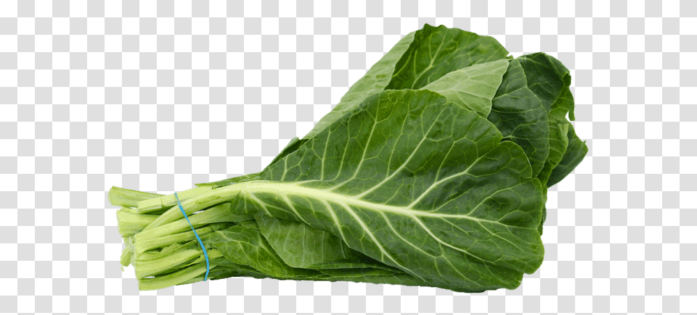 Collard Greens With Background, Plant, Vegetable, Food, Cabbage Transparent Png