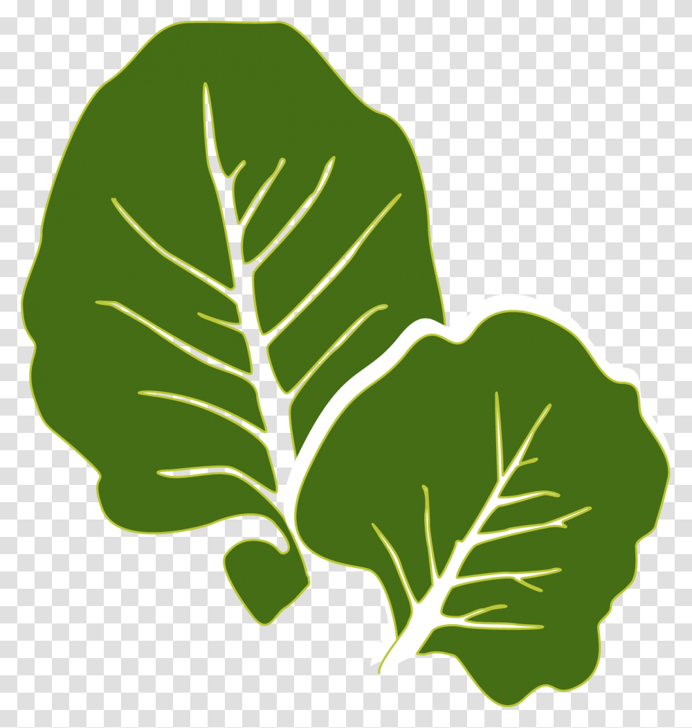 Collards Clipart, Leaf, Plant, Green, Tobacco Transparent Png