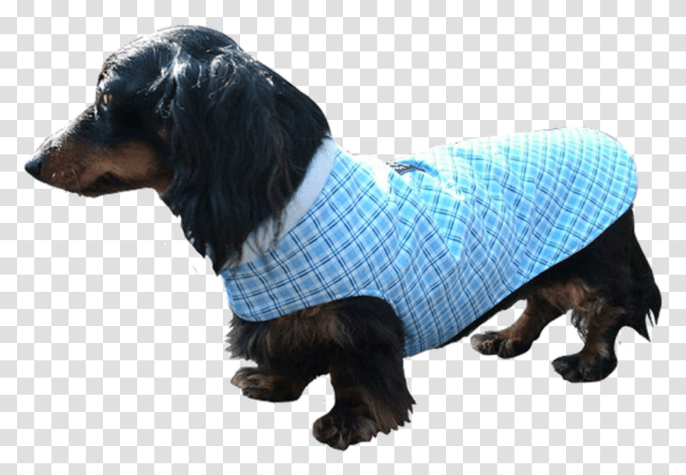 Collarless Designer Fabric Cuddler Dog Coat Dachshund, Person, Animal, Mammal Transparent Png