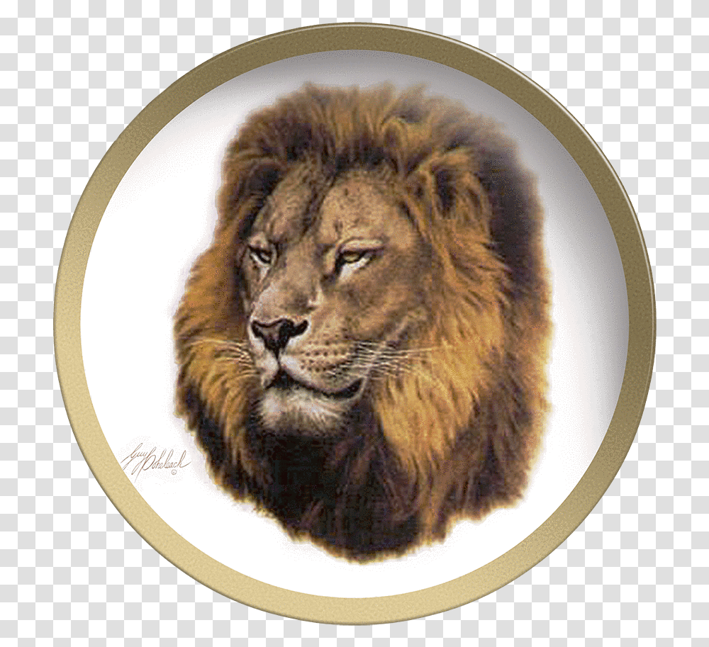 Collectable Plate By Guy Coheleach Lion Head Coffee Lion, Mammal, Animal, Wildlife, Tiger Transparent Png