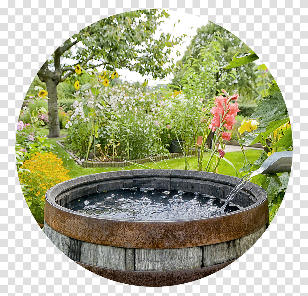 Collecting Rain Water Download Collecting Rainwater, Jacuzzi, Tub, Hot Tub, Plant Transparent Png