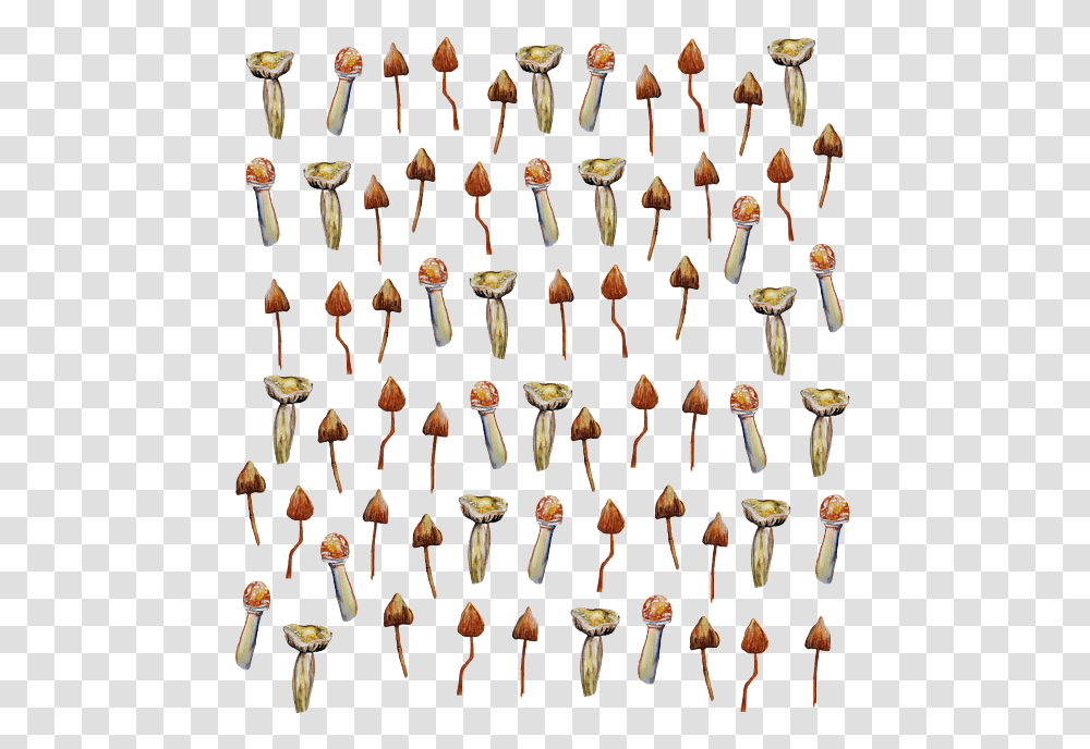 Collection, Chandelier, Lamp, Sweets, Food Transparent Png