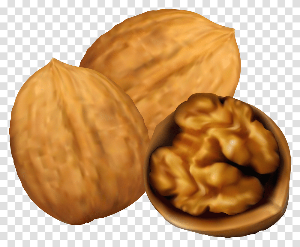 Collection Of 14 Free Nut Clipart Art Bill Clipart Walnuts Clipart Transparent Png