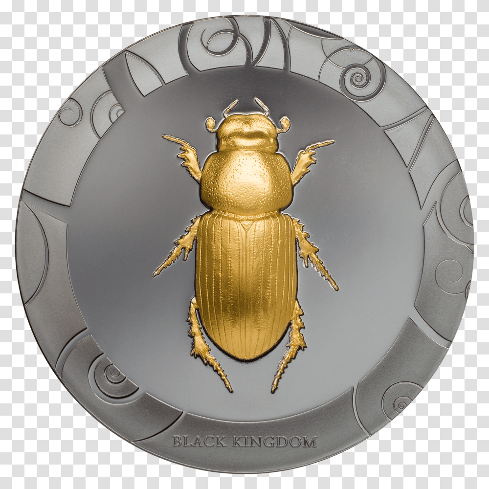 Collection Of 3 CoinsTitle Scarab I Coin, Dung Beetle, Insect, Invertebrate, Animal Transparent Png