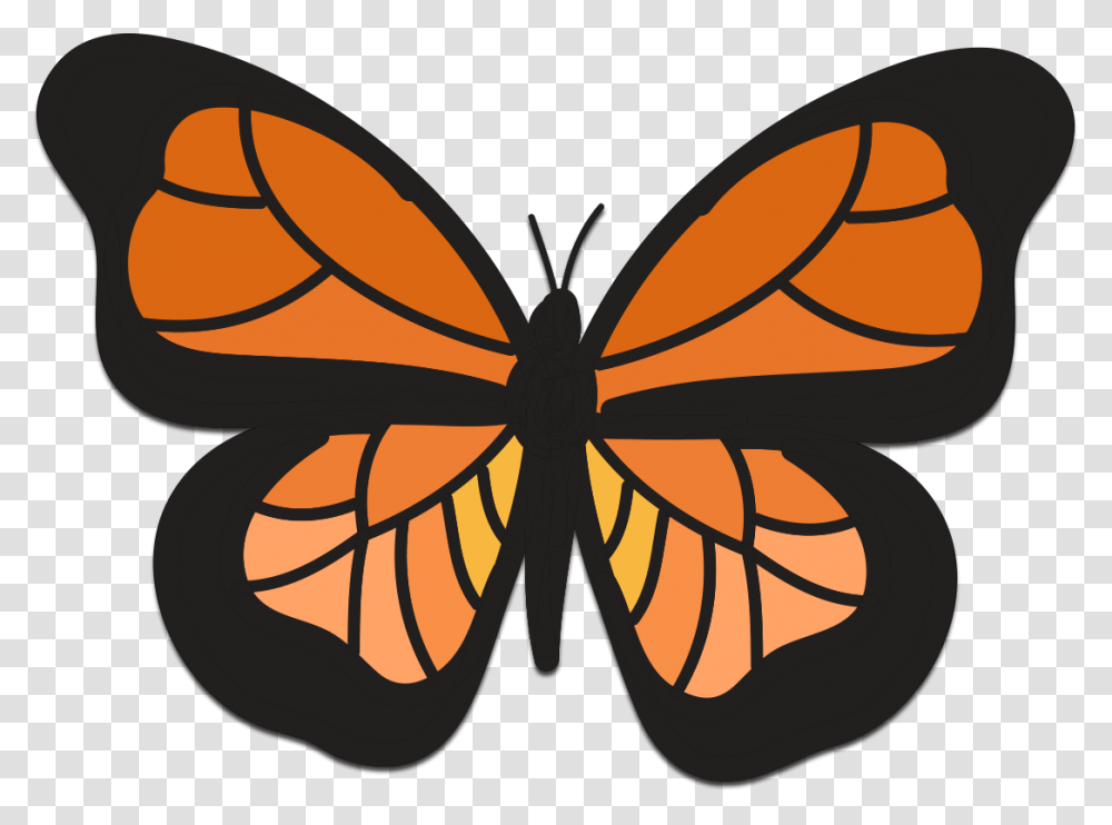 Collection Of All Monarch Butterfly Clipart, Pattern, Ornament, Insect Transparent Png