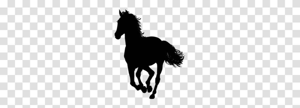 Collection Of Arabian Horse Silhouette Download Them And Try, Gray, World Of Warcraft Transparent Png